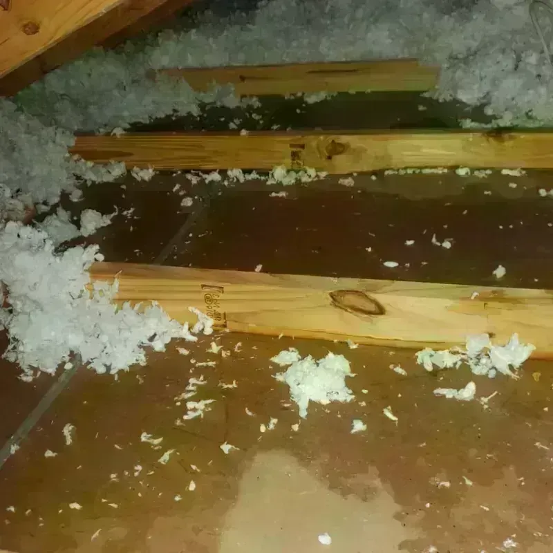 Attic Water Damage in Edinburg, IL