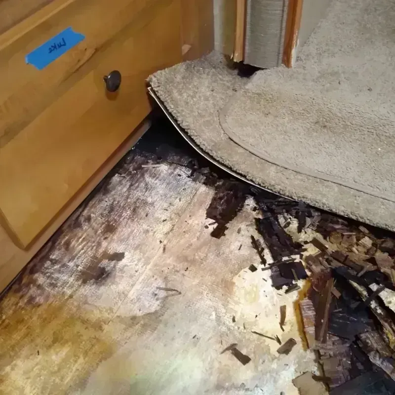 Wood Floor Water Damage in Edinburg, IL